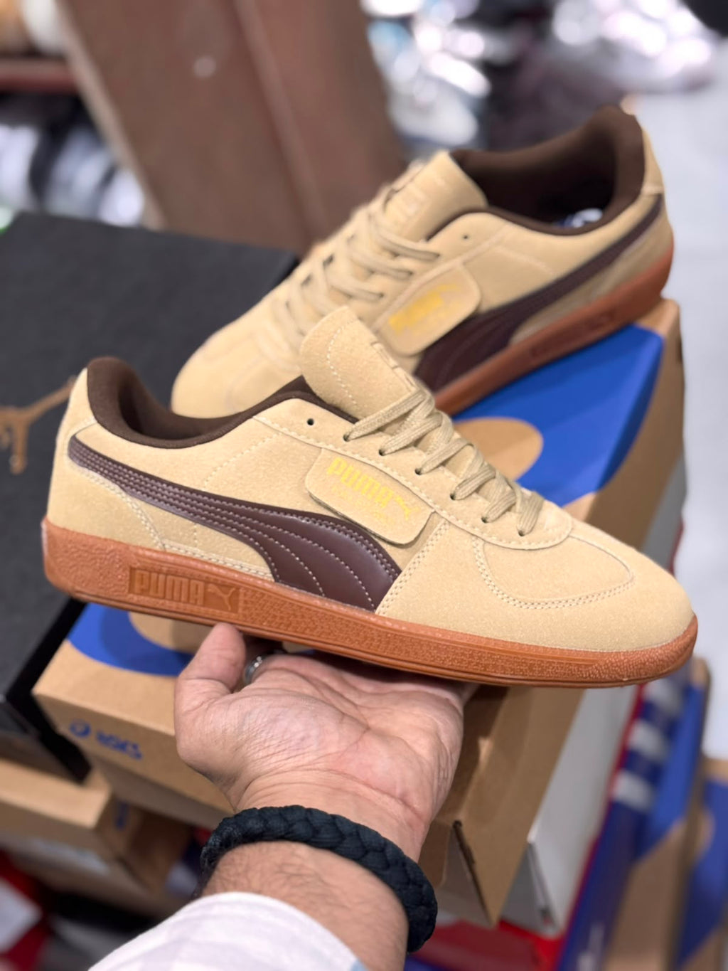 Puma Palermo