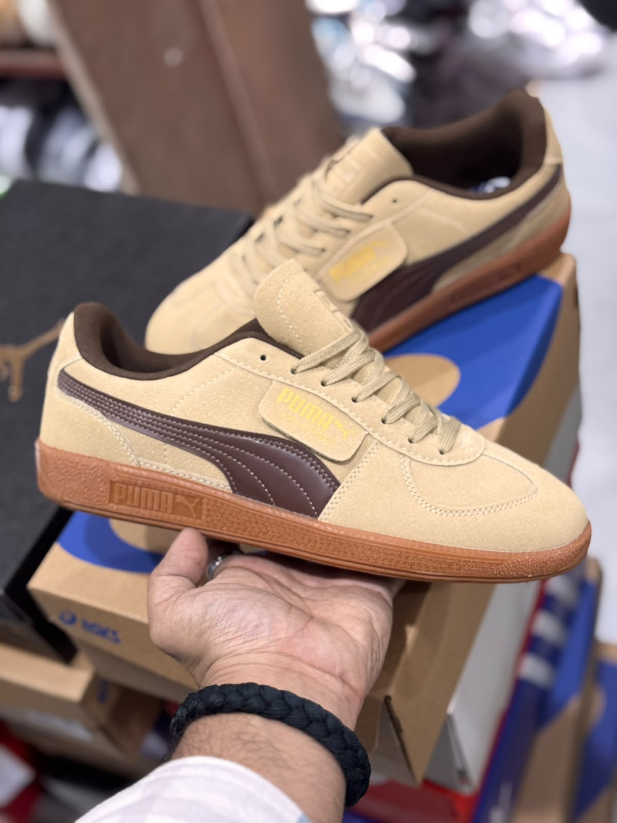 Puma Palermo