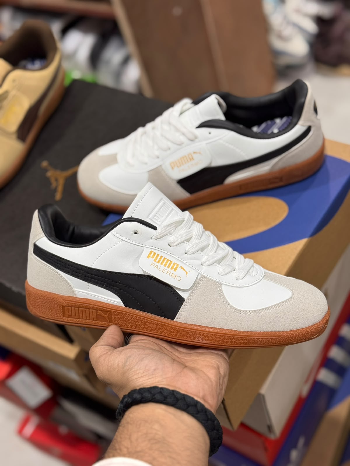 Puma Palermo